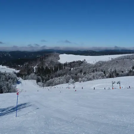 Duplex Le Ruisseau * La Bresse