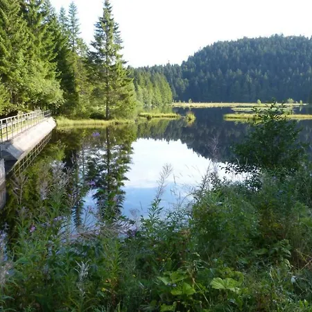 Lejlighed Duplex Le Ruisseau La Bresse